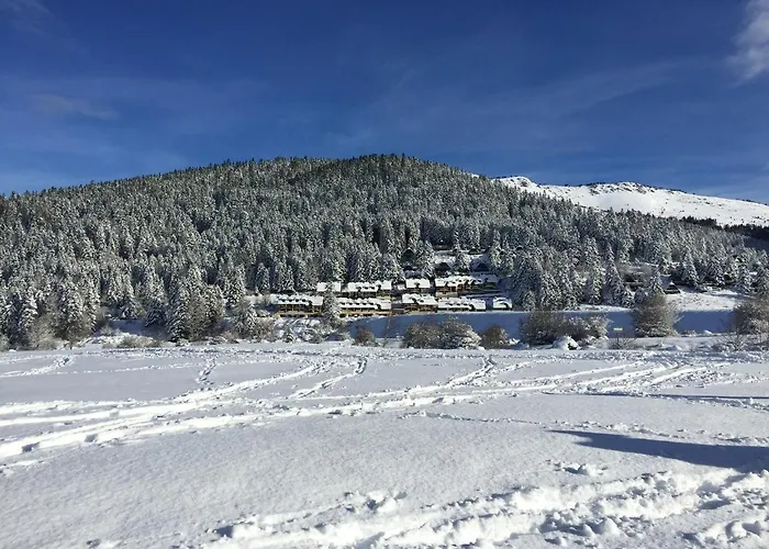 Gite Chaleureux Au Lac De Payolle