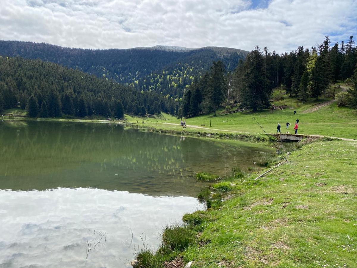 Ferienhaus Chaleureux Au De Payolle Campan